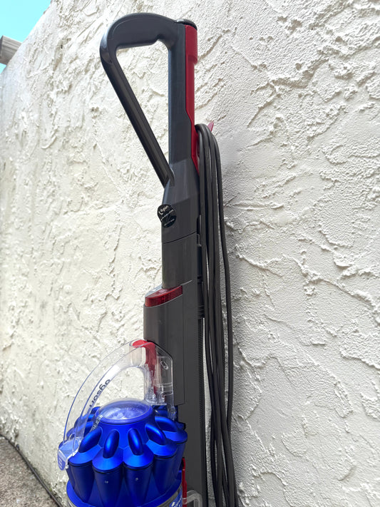 Dyson Ball Animal 2 vacuum