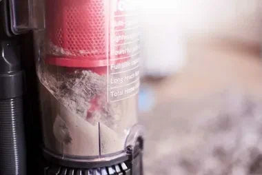 Close-up of a vacuum cleaner filter with dust accumulation
